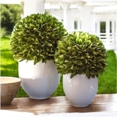 Садовый декор