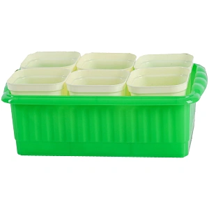 Рассадник "Дом и Дача" 247*166*90 мм на 6 стаканчиков 250мл цвет микс