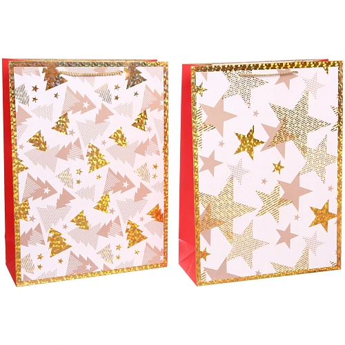 Пакет подарочный Волшебство 314212 см, микс_4