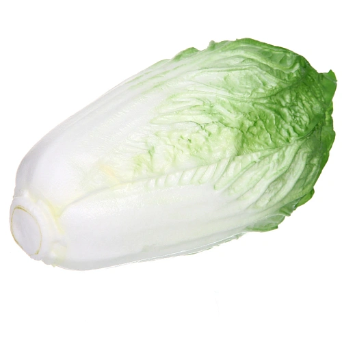 Муляж Капуста Пекинская 189см_5