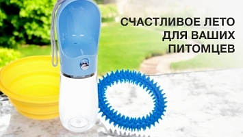 Счастливое лето для Ваших питомцев