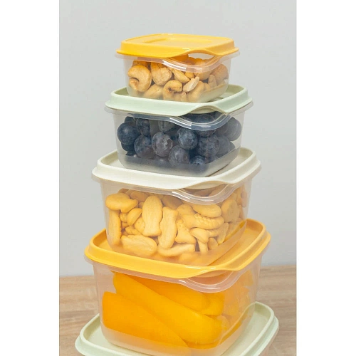 Набор контейнеров 4шт (0,25л+0,45л+0,75л+1,2л) микс_4