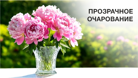 Вазы из стекла.Прозрачность стиля