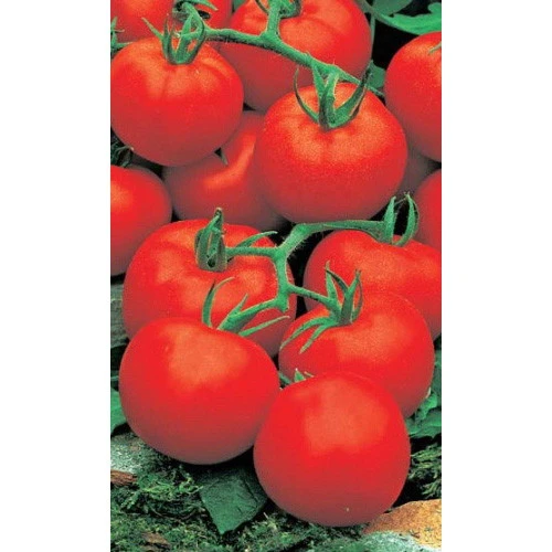 Семена Томат непасынкующийся Ультраскороспелый (УД) ЕП_2