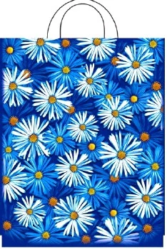 Пакет ПЭ с петлевой ручкой 28х55см (55) (Пробуждение) Интерпак (х25/500)