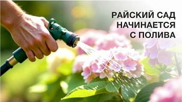 Полив