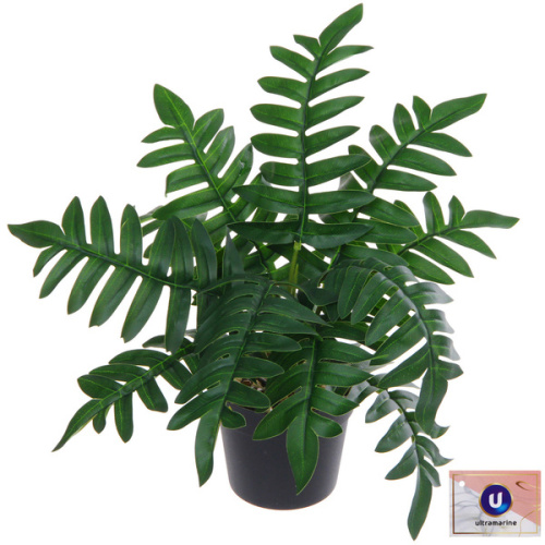 Цветок искусственный в горшке "Замиокулькас" 26см