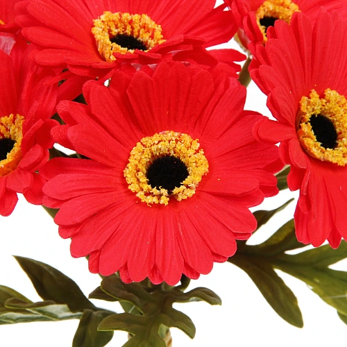 Цветы искусственные Natur 33см Герберы 7шт красные_4