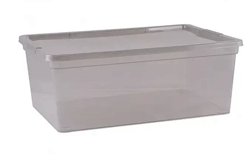 Контейнер универсальный с крышкой для хранения "MYSTERY", прозрачный, 37*26*14см, 10л