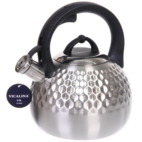 Чайник из нержавеющей стали 3л "Vicalina" VL-9255, матовый, ручка микс цветов